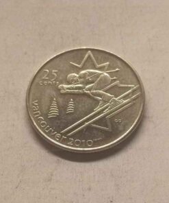 2010 winter Olympic alpine skiing