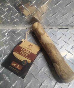 Coffee tree chewing stick