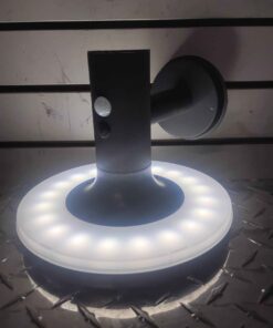 Solar outdoor light with built in motion