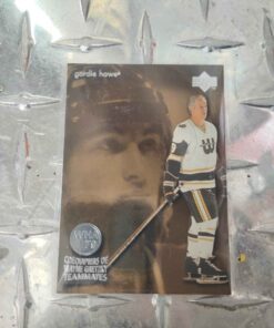 Wayne Gretzky/ Gordie Howe hockey card