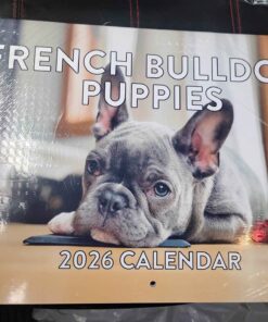French bulldog puppies 2026 calendar