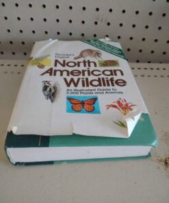 North American wildlife