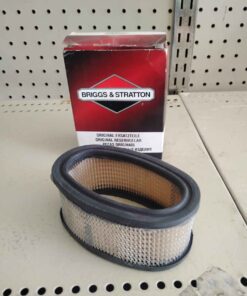 Briggs & Straton air filter
