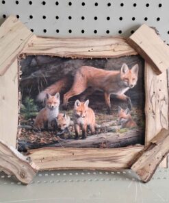 Fox picture with wooden frame