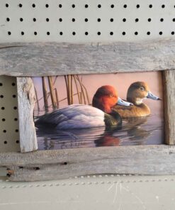 Duck picture with wooden frame