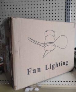 Fan lighting ceiling fan
