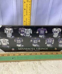 NFL Team Plaque - Minnesota Vikings 15” x 5”