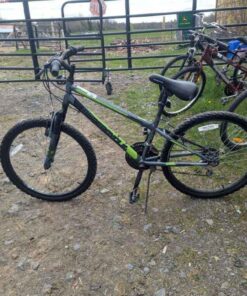 Green and gray Supercycle Nitro youth bike 24"