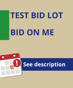Test Lot - Use for any bidding, any amount