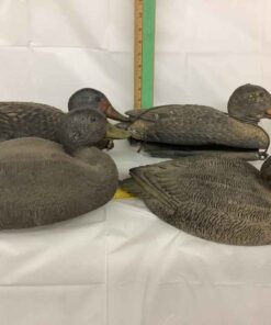 Flock of Duck Decoys