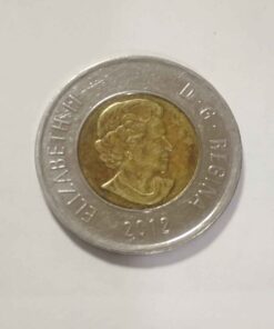 2012 various pigment toonie