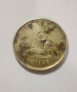 Unique color toning 2022 loonie