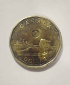 Unique color toning 2013 loonie