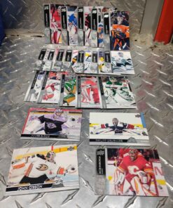 21 keepers of the net hockey cards