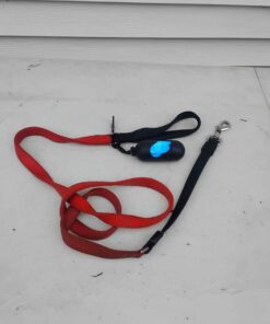 Dog leash with dump bags