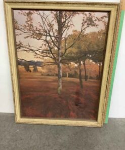 Framed Art 35” x 45”
