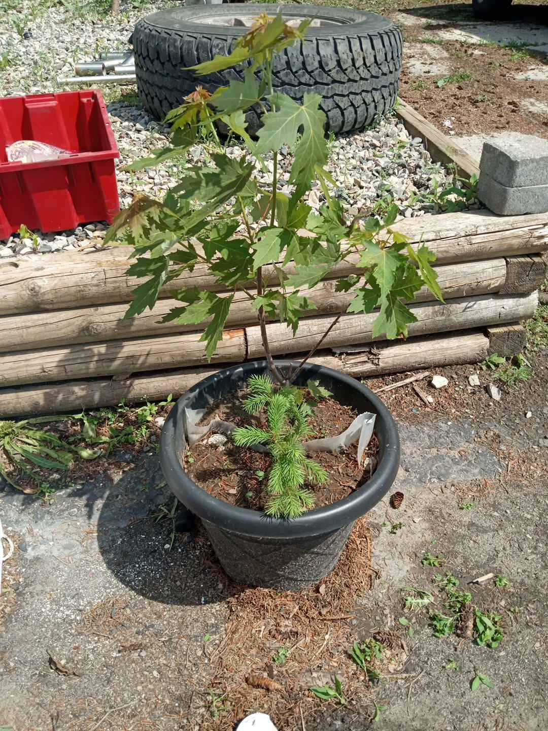 image-12