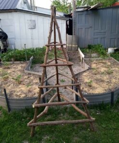5.5' triangle garden trellis