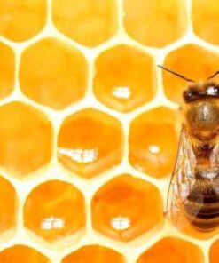 1kg Jar of Honey from Dolce Vita
