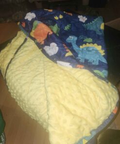 Dinosaur blanket