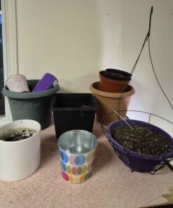 Assorted planters