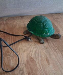 Light up turtle....needs a bulb