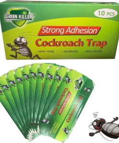 Cockroach Traps Non-Toxic and Eco-Friendly, Strong Adhesion, No Smell, Pack of 10