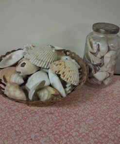 Basket and jar full of sea shells