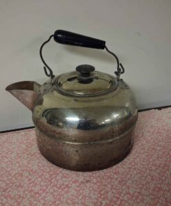 Stainless tea kettle