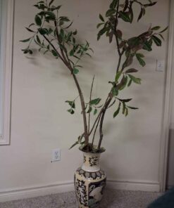 Large plant with pot