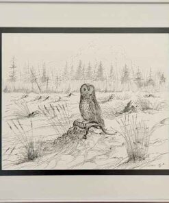 Eddy Cobiness Owl Artwork