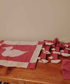 Red with duck dinner napkins set