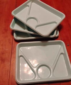 4 reusable picnic plates