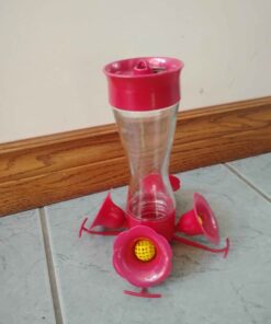Hummingbird feeder