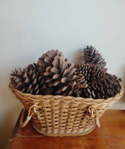 Large Basket of pine cones