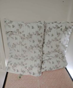 2 pillows with cases