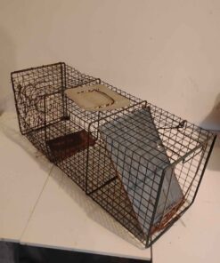 Live animal trap