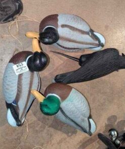 Mallard and crow decoys