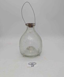 Glass Wasp trap