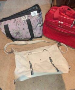 Fashion carry bags
