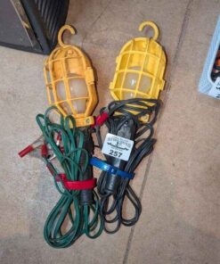 Pair of Trouble lights