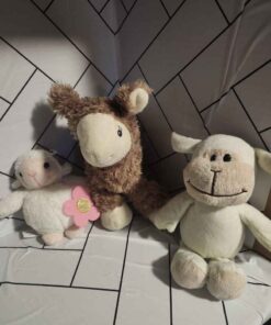 Lambs