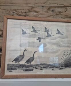 Vintage Canadian goose art