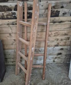 Qty 2 bunk ladders