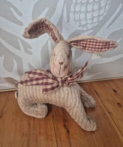 Red floppy eared bunny