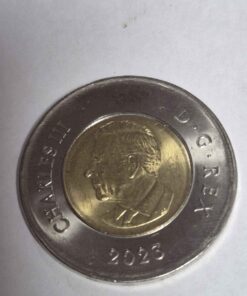 2023 toonie. Good condition