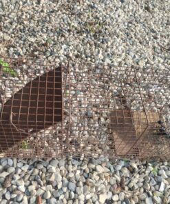 Large live trap