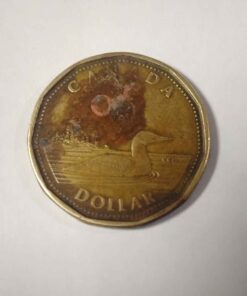 Unique color variation Loonie