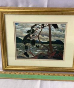 Framed Art “Group of Seven” Tom Thompson