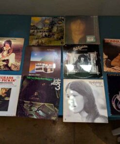 Herman's Hermits, Donna Summers, Pat Buckna & Assorted Record Albums